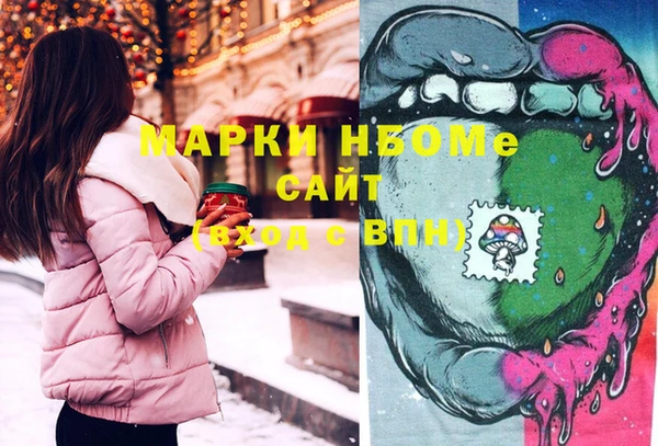 стаф Волосово