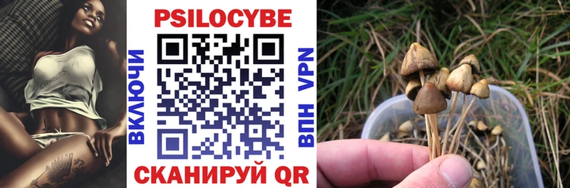 Галлюциногенные грибы Psilocybine cubensis  Светлый 